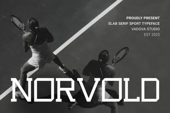 Novoid by Vadova Std — Slab Serif Font