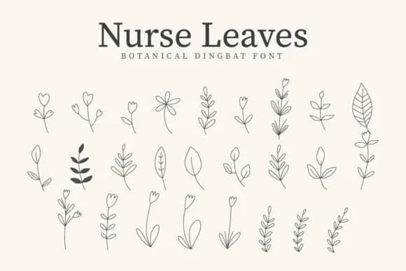 Nurse Leaves by CraftedType Studio — Dingbats Font
