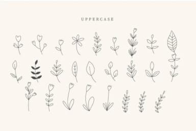 Nurse Leaves by CraftedType Studio — Dingbats Font — thumbnail 2