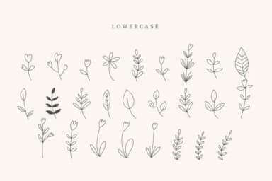 Nurse Leaves by CraftedType Studio — Dingbats Font — thumbnail 3