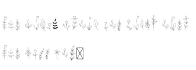 Nurse Leaves by CraftedType Studio — Dingbats Font — thumbnail 5