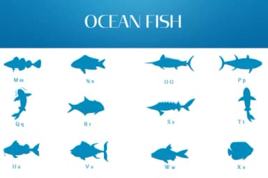 Ocean Fish by Heartcraft Atelier — Dingbats Font — thumbnail 3