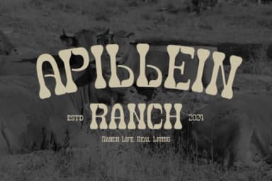 Olbars by Gracetypestudio — Slab Serif Font — thumbnail 6