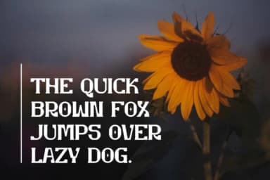 Ombridge by IqsiartStudio — Slab Serif Font — thumbnail 7