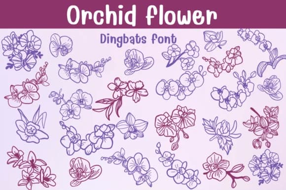 Orchid Flower by Sontaya — Dingbats Font