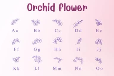 Orchid Flower by Sontaya — Dingbats Font — thumbnail 2