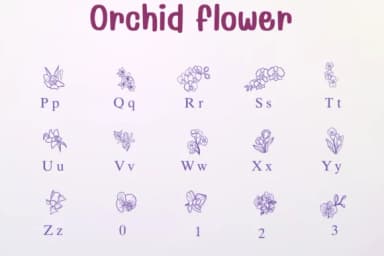 Orchid Flower by Sontaya — Dingbats Font — thumbnail 3
