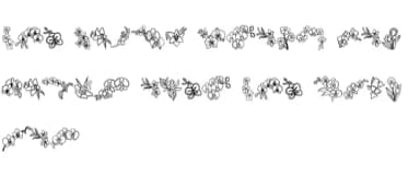 Orchid Flower by Sontaya — Dingbats Font — thumbnail 8