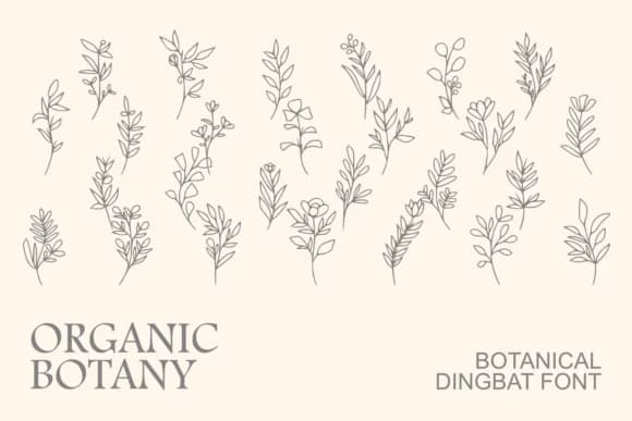 Organic Botany by Intype Studio — Dingbats Font