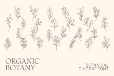 Organic Botany by Intype Studio — Dingbats Font — thumbnail 1