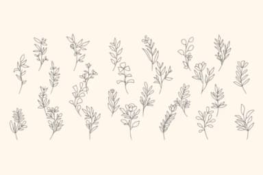 Organic Botany by Intype Studio — Dingbats Font — thumbnail 2