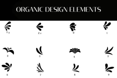 Organic Design Elements by Heartcraft Atelier — Dingbats Font — thumbnail 4