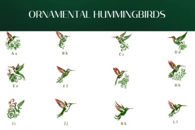 Ornamental Hummingbirds by Heartcraft Atelier — Dingbats Font — thumbnail 2
