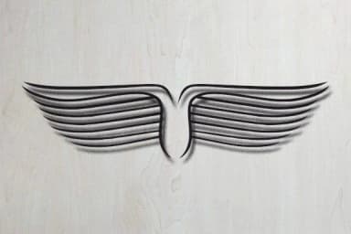 Ornamental Wings by vladimirnikolic — Dingbats Font — thumbnail 4