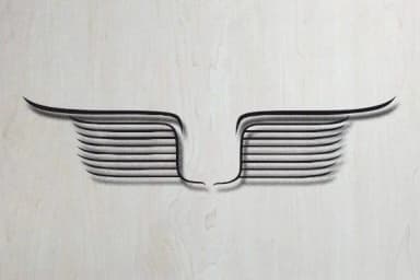 Ornamental Wings by vladimirnikolic — Dingbats Font — thumbnail 5