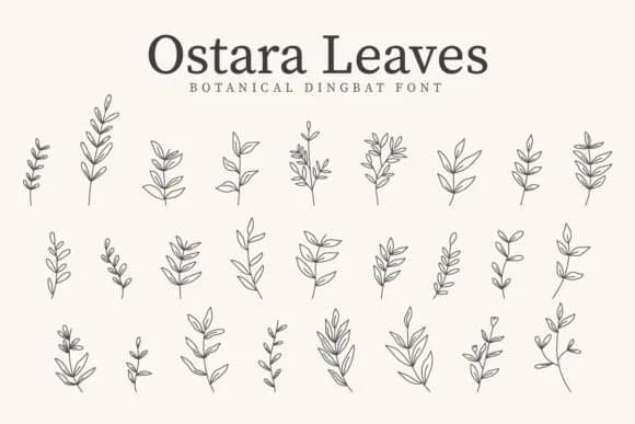 Ostara Leaves by CraftedType Studio — Dingbats Font