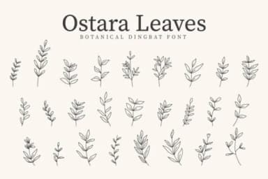 Ostara Leaves by CraftedType Studio — Dingbats Font — thumbnail 1