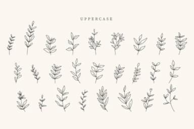 Ostara Leaves by CraftedType Studio — Dingbats Font — thumbnail 2