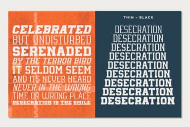 Oud Range by RagamKata Studio — Slab Serif Font — thumbnail 3