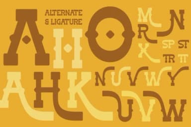 Outlaw Major by Flawless And Co — Slab Serif Font — thumbnail 8