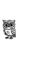 Owl by MOMAT THIRTYONE — Dingbats Font — thumbnail 3
