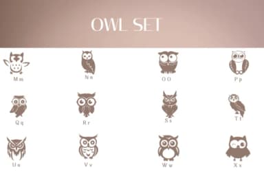 Owl Set by Heartcraft Atelier — Dingbats Font — thumbnail 3