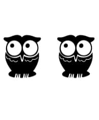 Owl Set by Heartcraft Atelier — Dingbats Font — thumbnail 7