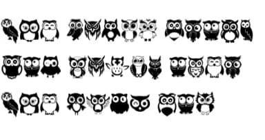 Owl Set by Heartcraft Atelier — Dingbats Font — thumbnail 8