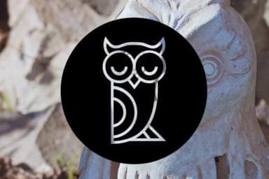 Owls by vladimirnikolic — Dingbats Font — thumbnail 3