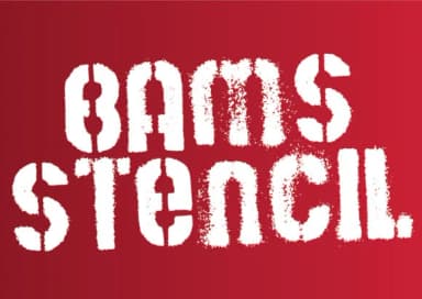 Paper Snowflakes by GraphicsBam Fonts — Dingbats Font — thumbnail 4