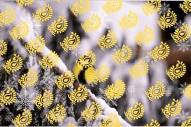 Pattern Cute by KinnareeART — Dingbats Font — thumbnail 6