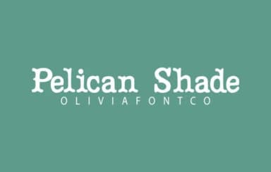 Pelican Shade by OliviaFontCo — Slab Serif Font — thumbnail 1