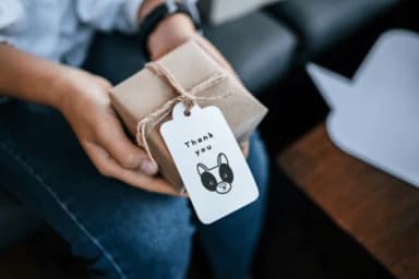 Pet Day Doodle by Nun Sukhwan — Dingbats Font — thumbnail 4