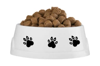 Pet Dog by PraewDesigns — Dingbats Font — thumbnail 5