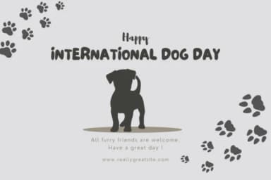 Pet Dog by PraewDesigns — Dingbats Font — thumbnail 6