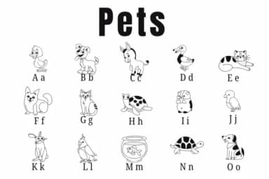 Pets by Suphitchaya — Dingbats Font — thumbnail 2