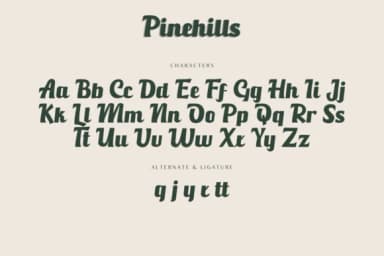 Pinehills by Fikryal Studio — Slab Serif Font — thumbnail 2