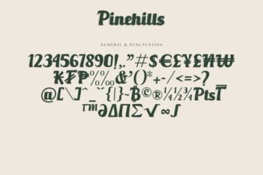Pinehills by Fikryal Studio — Slab Serif Font — thumbnail 3