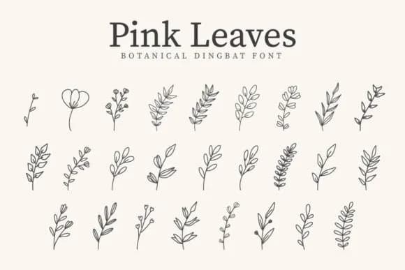 Pink Leaves by CraftedType Studio — Dingbats Font