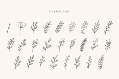 Pink Leaves by CraftedType Studio — Dingbats Font — thumbnail 2