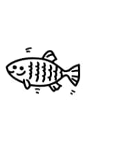 Piranha Fish by MOMAT THIRTYONE — Dingbats Font — thumbnail 3