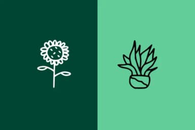 Plant Doodle by CrafterFonts — Dingbats Font — thumbnail 3