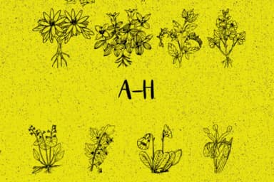 Plantic by Minimalistartstudio — Dingbats Font — thumbnail 2