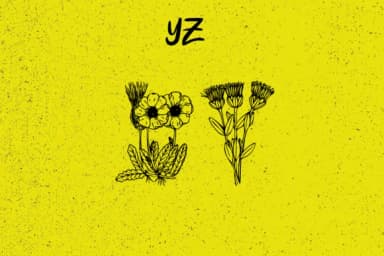 Plantic by Minimalistartstudio — Dingbats Font — thumbnail 5