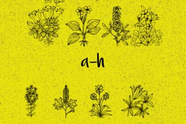 Plantic by Minimalistartstudio — Dingbats Font — thumbnail 6