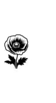 Poppy Flower by MOMAT THIRTYONE — Dingbats Font — thumbnail 3