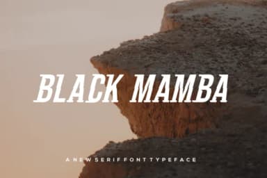 Poulus Italic Font by warehouselogo7 — Slab Serif Font — thumbnail 2