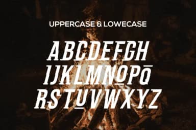 Poulus Italic Font by warehouselogo7 — Slab Serif Font — thumbnail 3