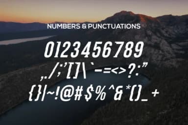 Poulus Italic Font by warehouselogo7 — Slab Serif Font — thumbnail 4