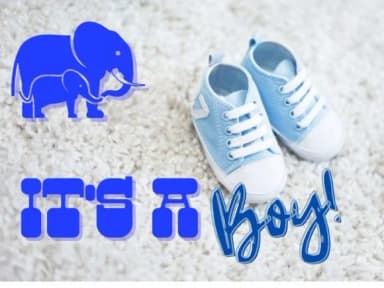 Pregnancy and Baby by Mary Kay's Magic — Dingbats Font — thumbnail 5